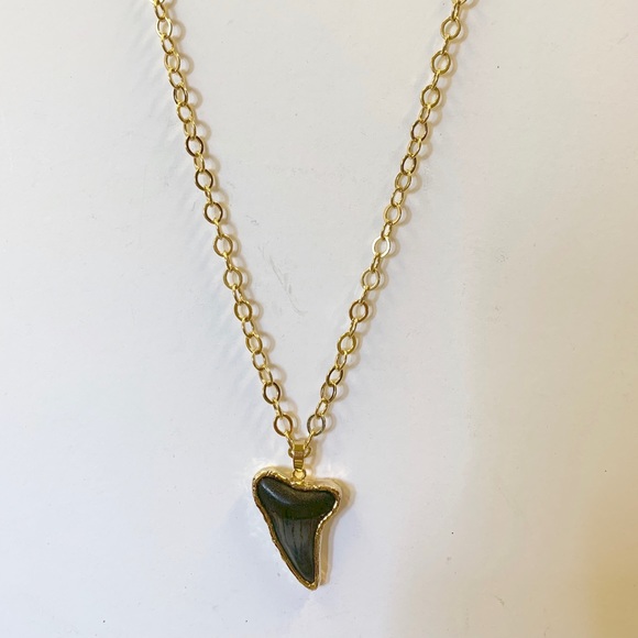 Jewelry - Petrified Sharks Tooth Necklace Surf Hawaii